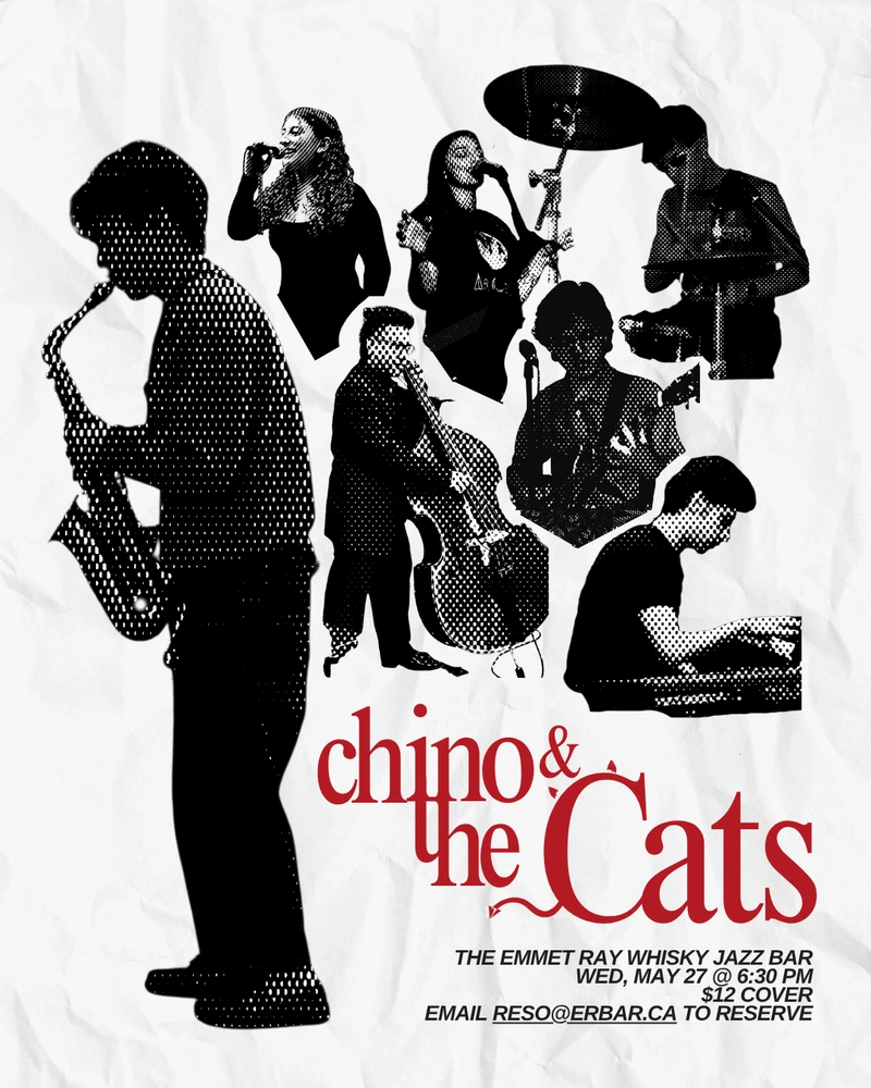 Chino-The-Cats