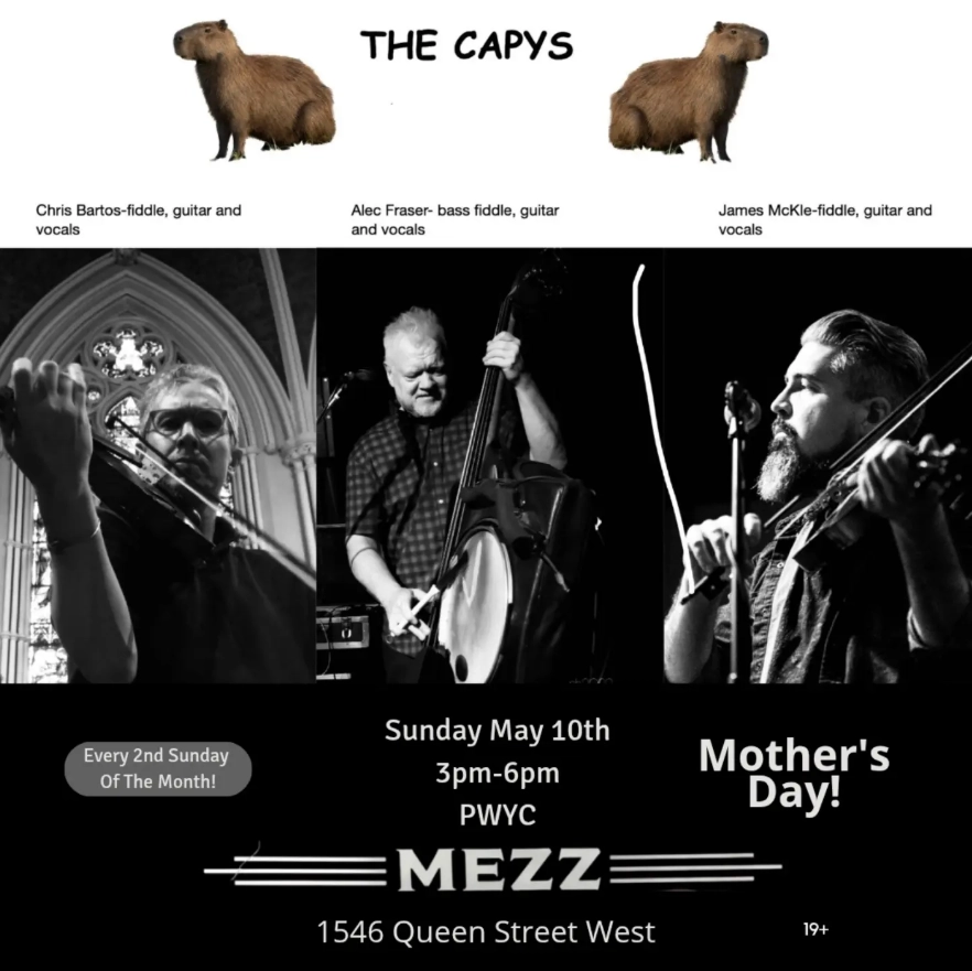 the-capys-the-mezz
