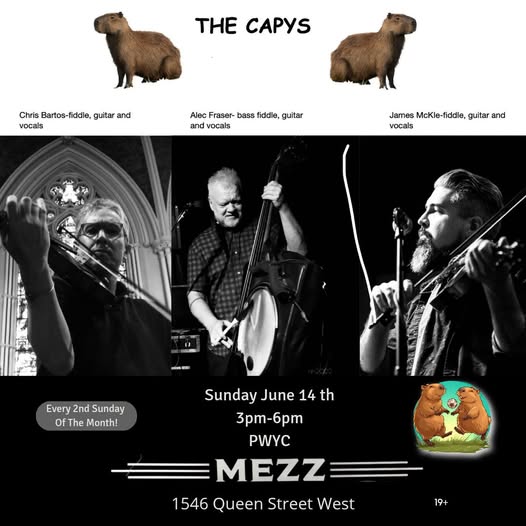 the-capys