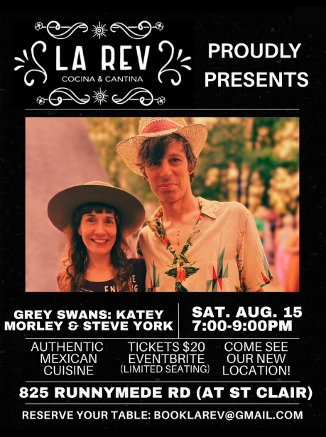 grey-swans